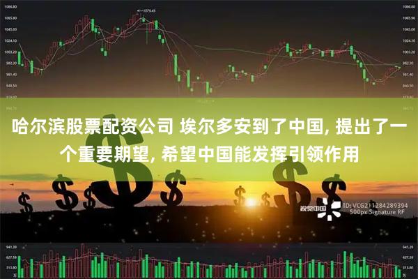 哈尔滨股票配资公司 埃尔多安到了中国, 提出了一个重要期望, 希望中国能发挥引领作用