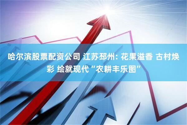 哈尔滨股票配资公司 江苏邳州: 花果溢香 古村焕彩 绘就现代“农耕丰乐图”