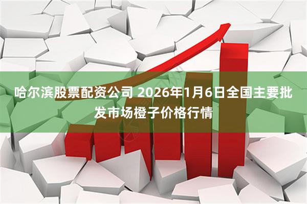 哈尔滨股票配资公司 2026年1月6日全国主要批发市场橙子价格行情