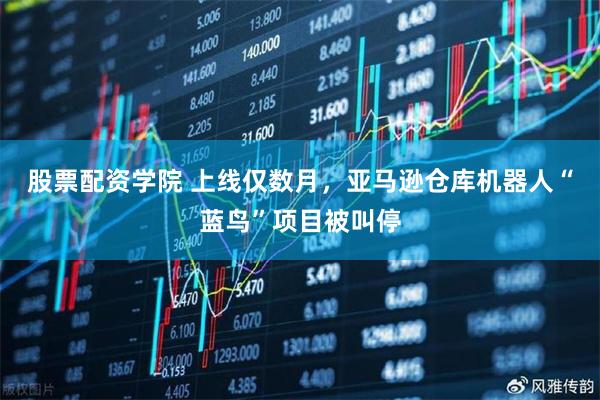 股票配资学院 上线仅数月，亚马逊仓库机器人“蓝鸟”项目被叫停