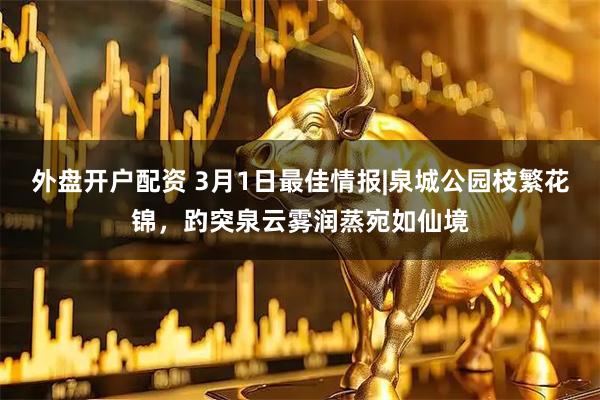外盘开户配资 3月1日最佳情报|泉城公园枝繁花锦，趵突泉云雾润蒸宛如仙境